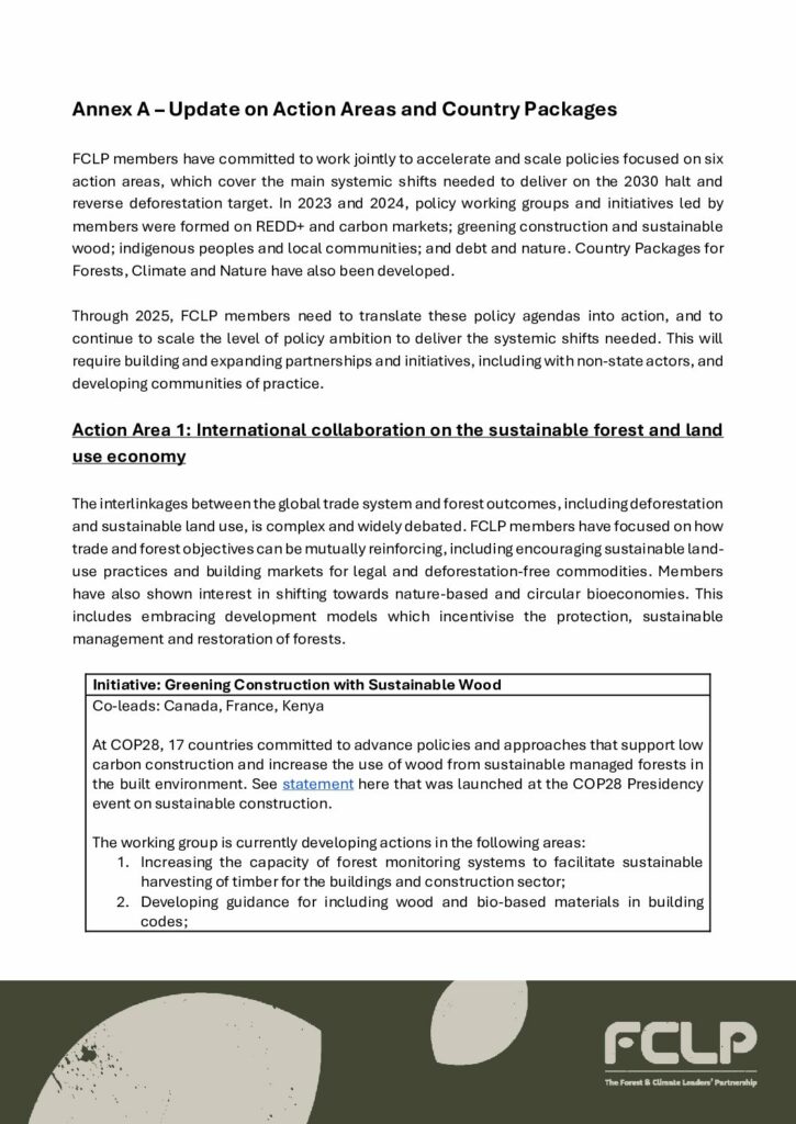 thumbnail of FCLP – 2 – Action Areas and Progress 2025 – English