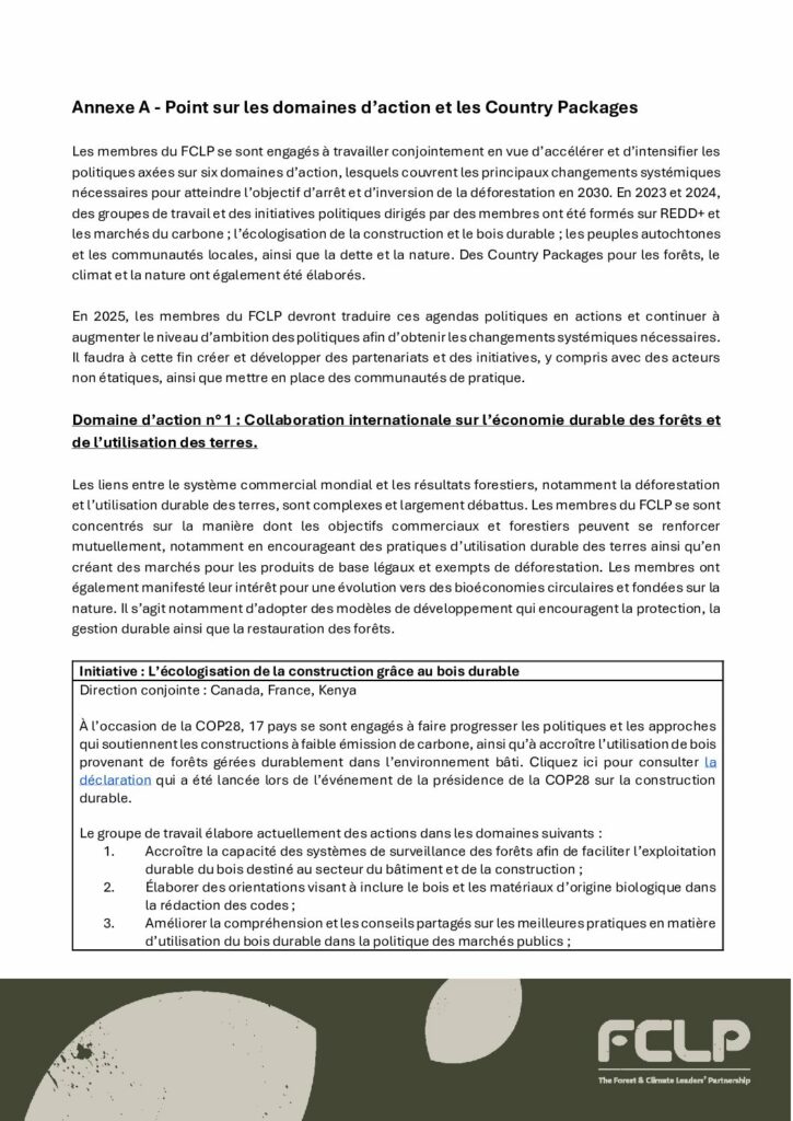 thumbnail of FCLP – 2 – Action Areas and Progress 2025 – French