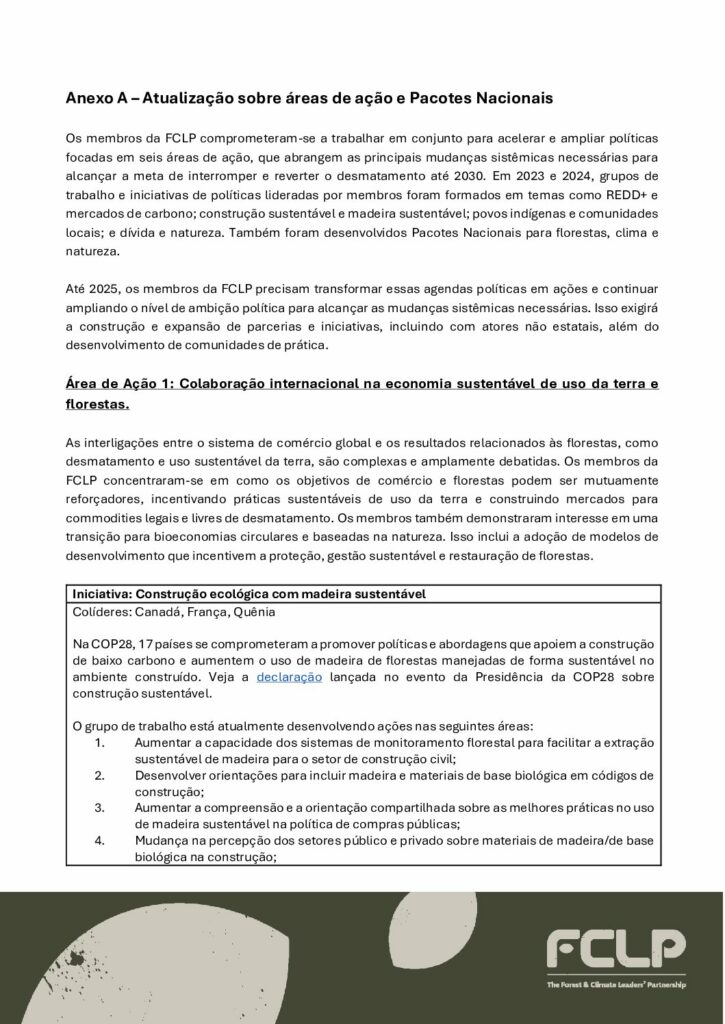 thumbnail of FCLP – 2 – Action Areas and Progress 2025 – Portuguese