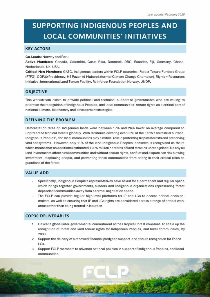 thumbnail of AA4 – IP and LCs – 2025 1-Pager EN