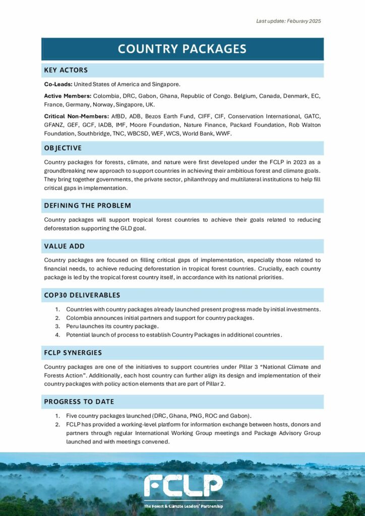 thumbnail of Pillar 3 – Country Packages – 2025 1-Pager EN