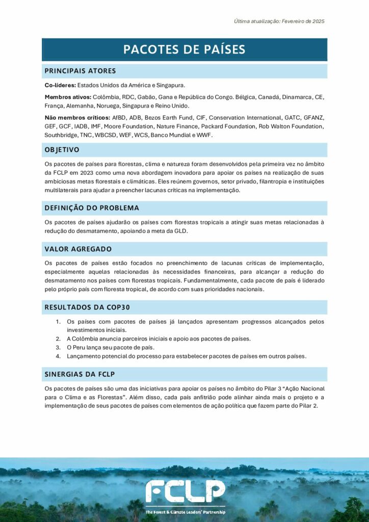 thumbnail of Pillar 3 – Country Packages – 2025 1-Pager PT