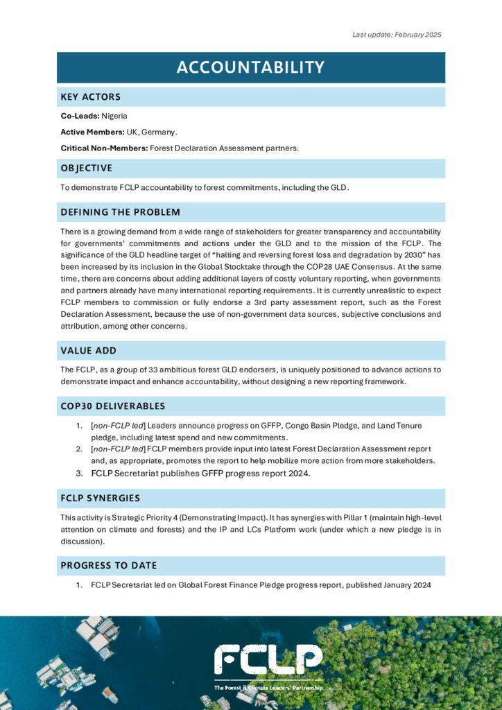 thumbnail of Pillar 4 – Accountability – 2025 1-Pager EN