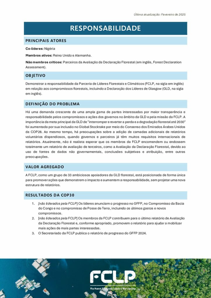 thumbnail of Pillar 4 – Accountability – 2025 1-Pager PT