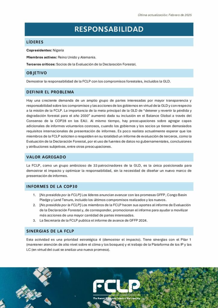 thumbnail of Pillar 4 – Accountability – 2025 1-Pager SP